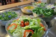 Salat Buffet